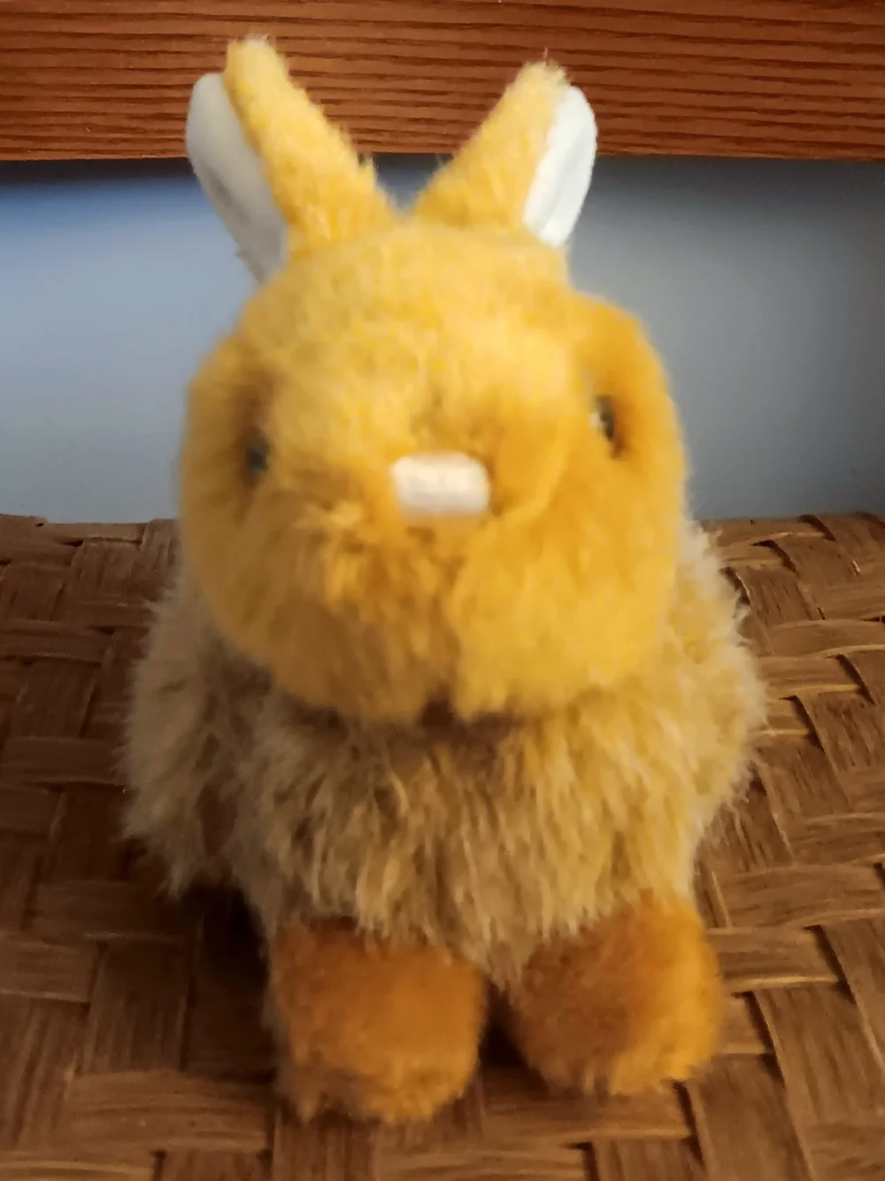 CS International Plush 7